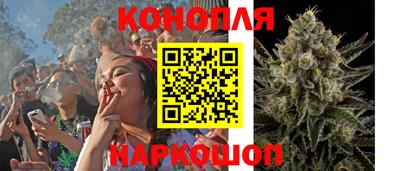 гидра Чебоксары