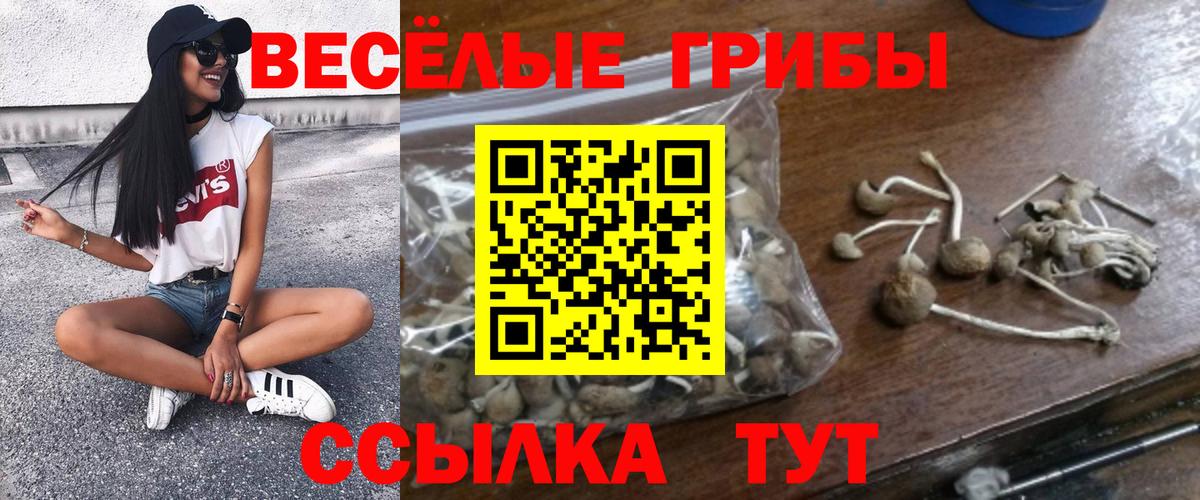 Феодосия  Галлюциногенные грибы мицелий  Вход с VPN 